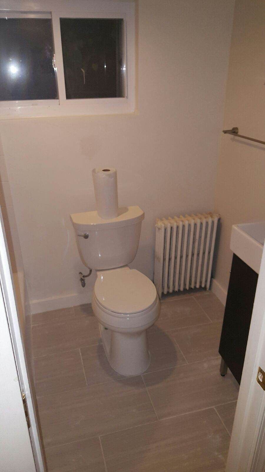 Basement bathroom remodel. New toilet, light,vanit