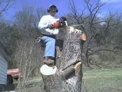 Tree Trimming and removal.