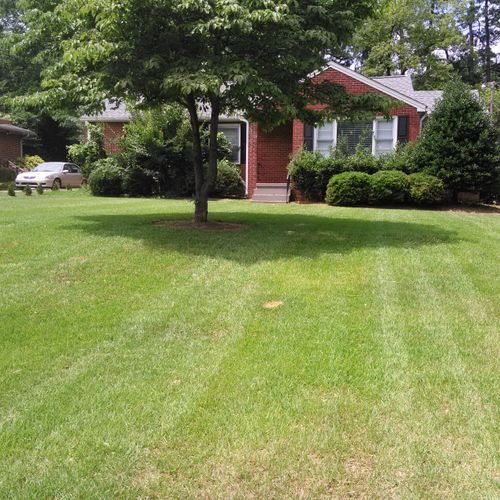 We can stripe your lawn this way too