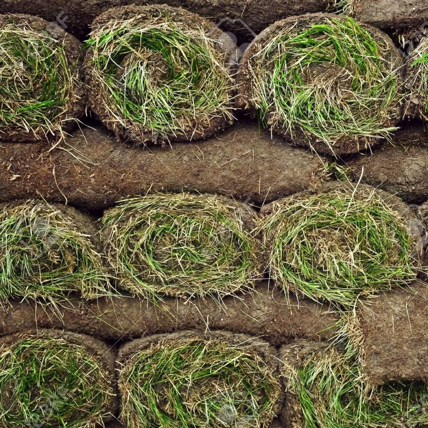 S&S Hardscaping, Tree Removal, and Landscaping