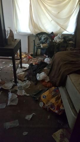 before the clean out