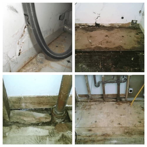 Flood with Mold Remediation (Before)