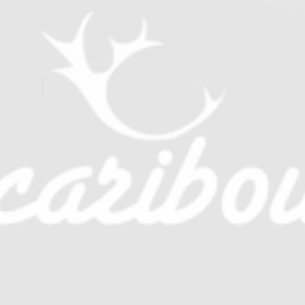 Caribou Web Design