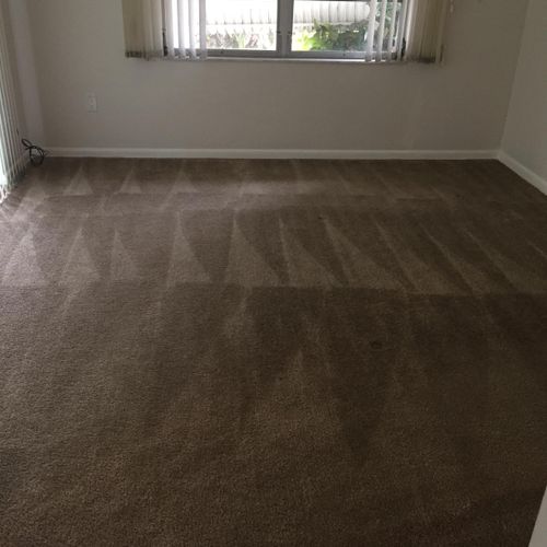 One of our vacation rentals requested their carpet