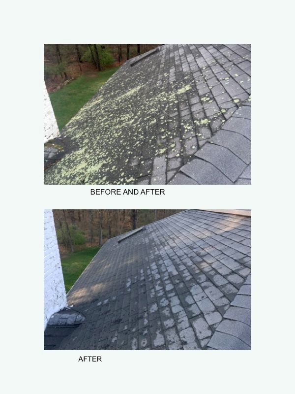 Soft Wash Roof Cleaning