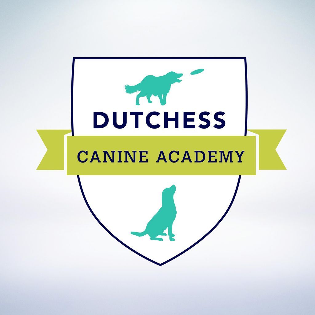 Dutchess Canine Academy