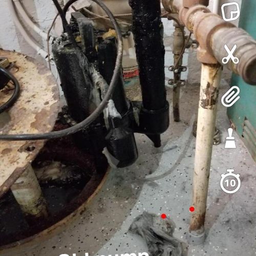 Old burnt out pump due to flushable wipes 