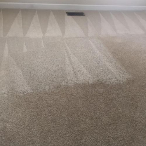 Steam extraction revitalizes carpets. 