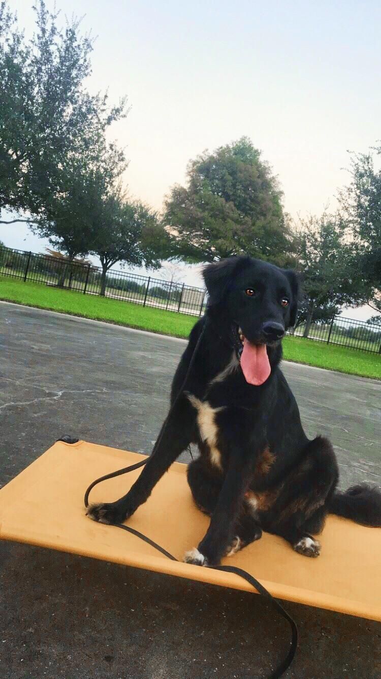 Champ had “Place” down so well! Even around his bi