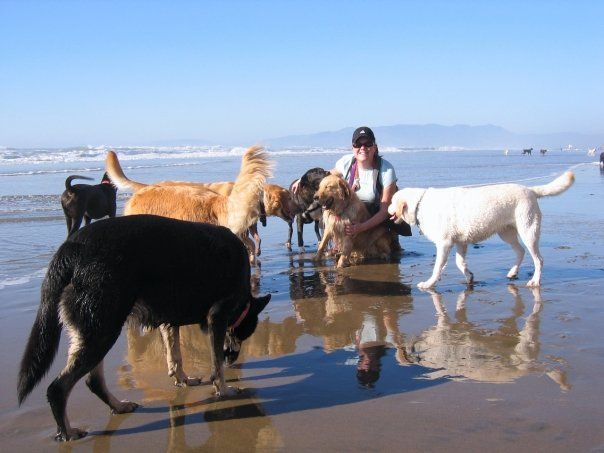 Beach Runs to Fort Funston