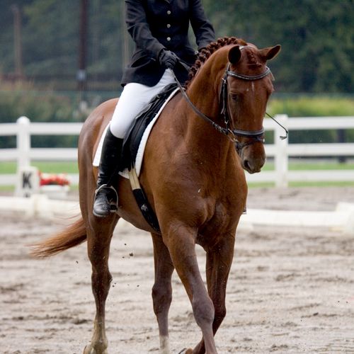 Rebekah and Beat the Retreat in USEF/USDF competit