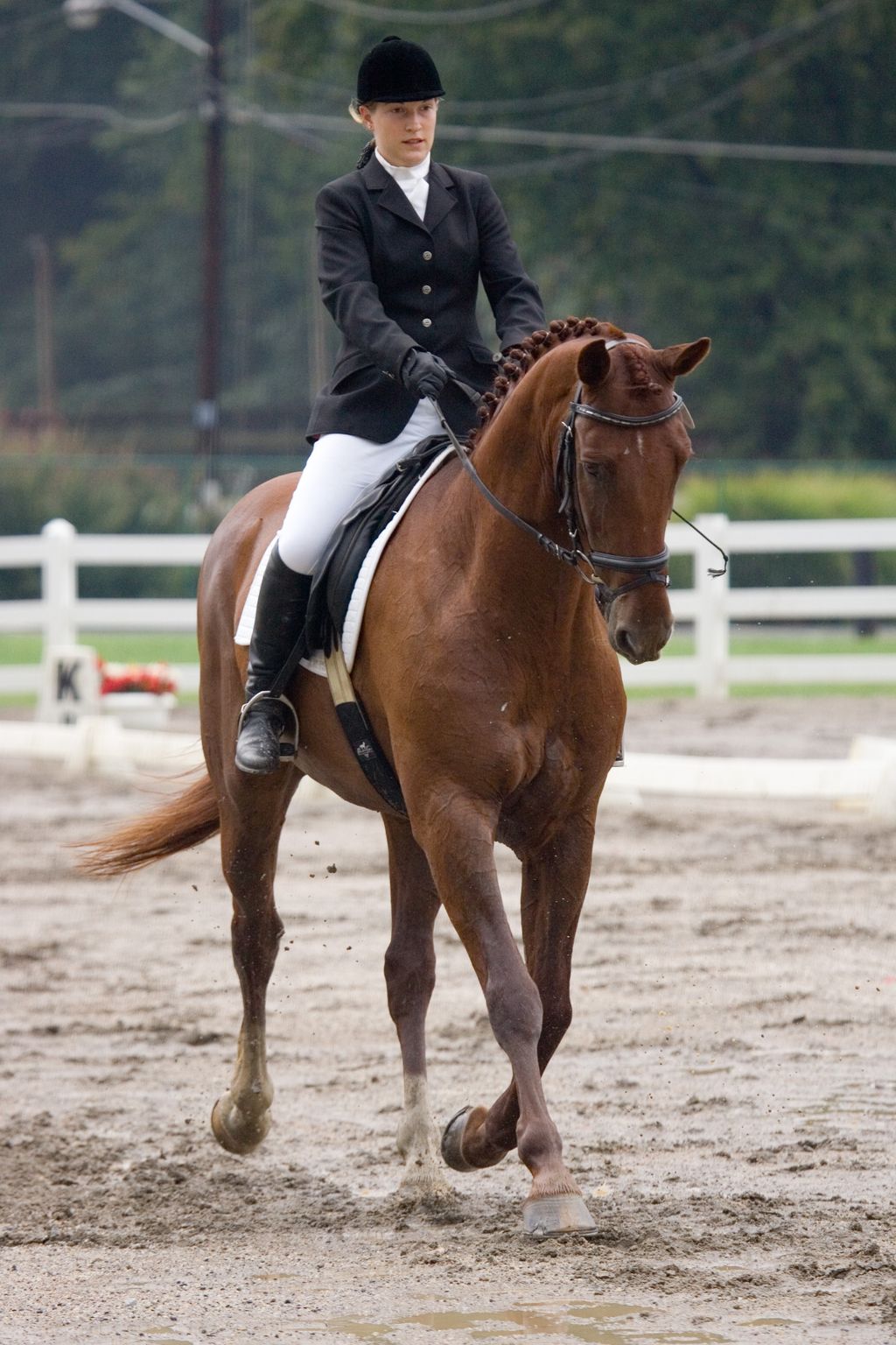 Rebekah and Beat the Retreat in USEF/USDF competit