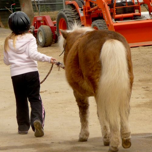 Kids and ponies!