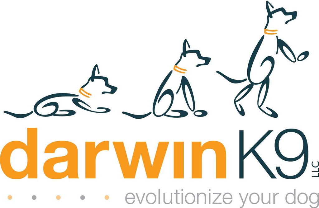 Darwin K9 Dog Training