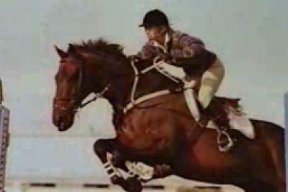 A picture of my Thoroughbred, Supertariat, and a s