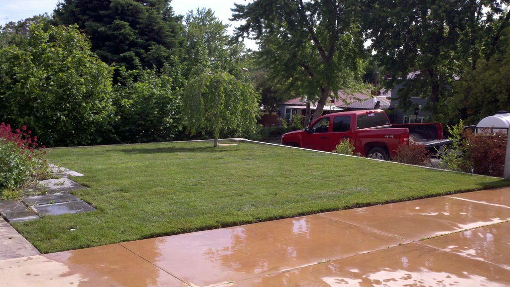 Action Lawn, Tree & Pest - Landscaping