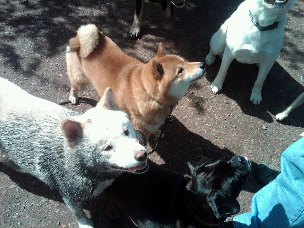 Is it treat time.