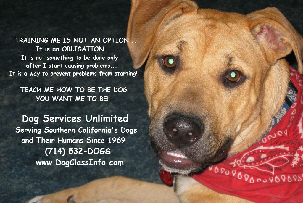 Dog Services Unlimited