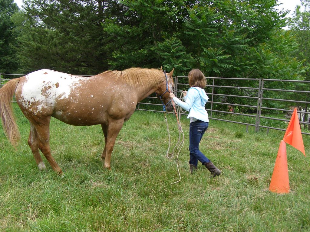 Morgan with Rancher.  Morgan is practicing the Dri