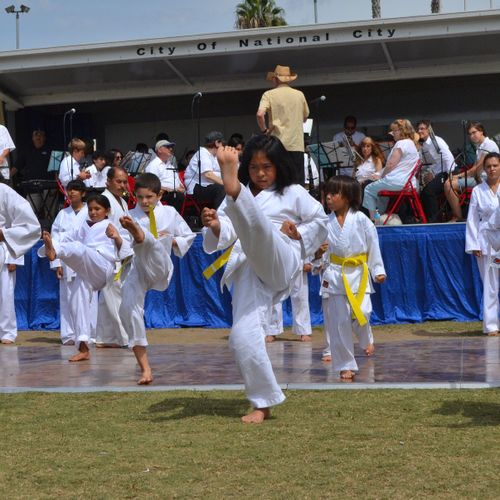 Karate Demonstration - 100 Anniversary of National