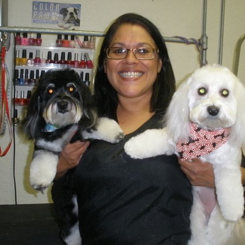 Shasta and Rizzo, and their groomer, Margie