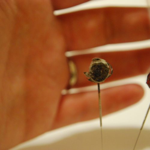 Warm needle technique uses moxa, or mugwort, floss