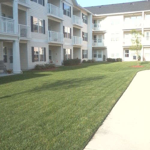 Commercial properties, turf care