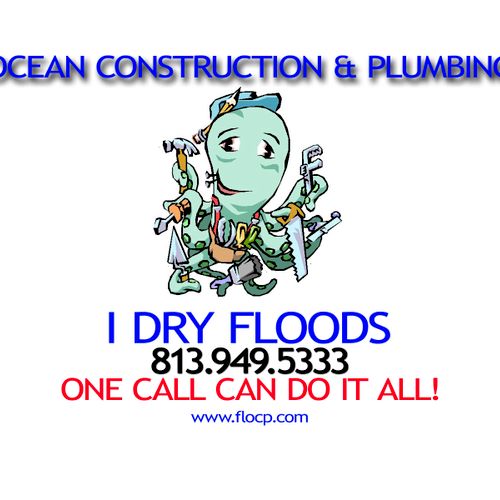 Ocean Construction Water Leak and detection specia