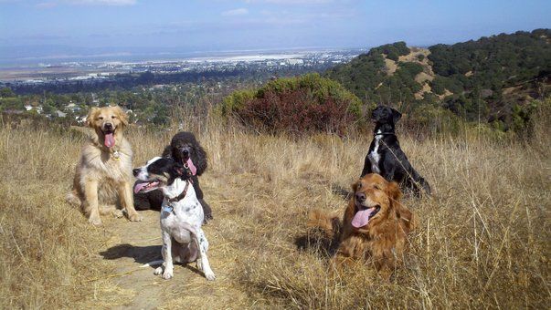 Peninsula Hikes
