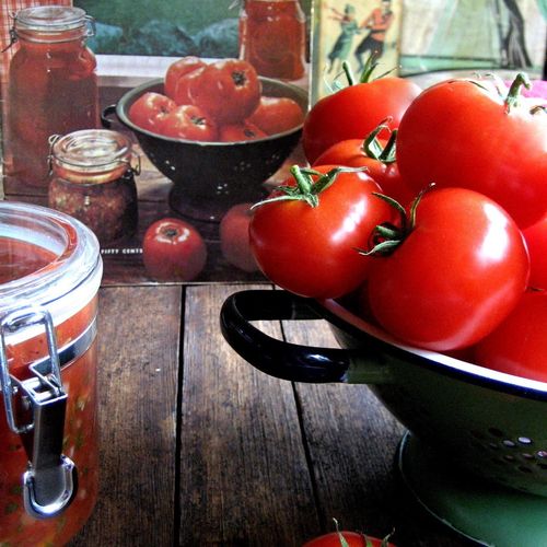 Favorite Tomato Sauce Recipes