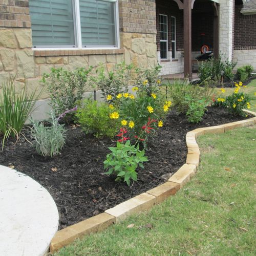 Add some native plants to your front yard!