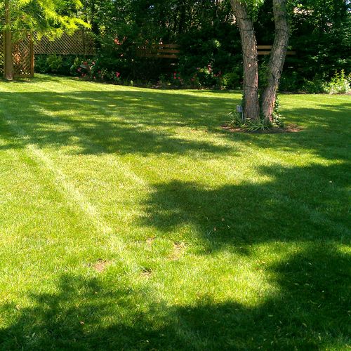 Quality Lawn Mowing and Maintenance. Contact us at