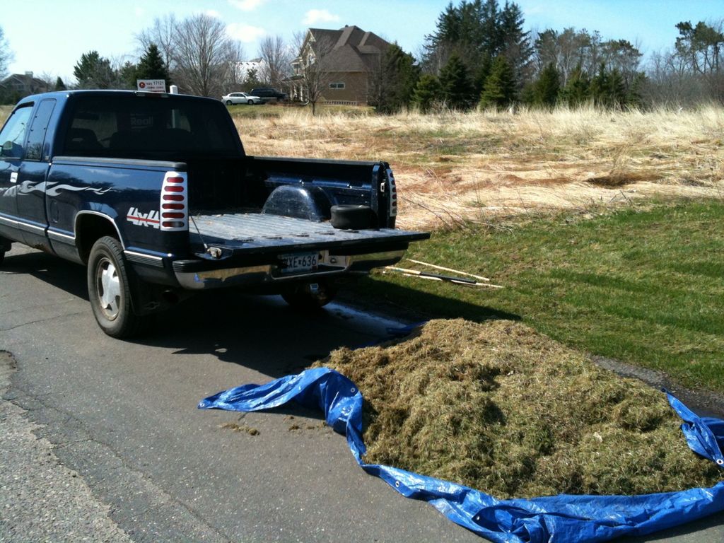 Dethatching spring 20122