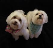 Sophie and Phoebe, happy clients!
