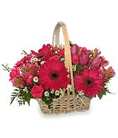 Baskets of Flowers