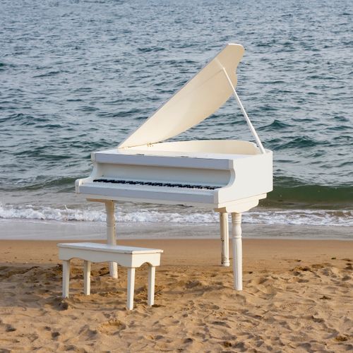 Welcome to the Piano Waterhole. 
http://www.pianow