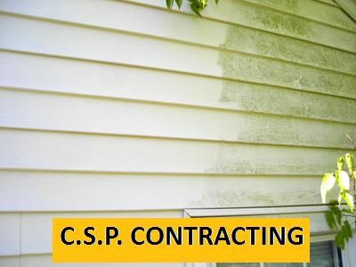 Mold and Mildew Removal specialist!