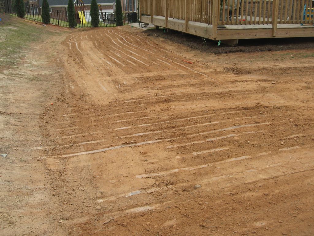 Before Sod