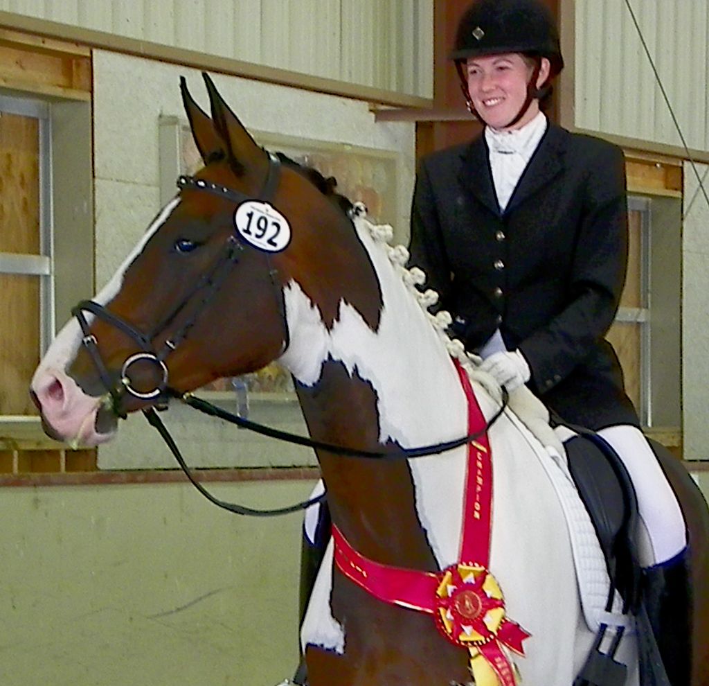 Arrow, a Hungarian warmblood gelding by Sempatico,