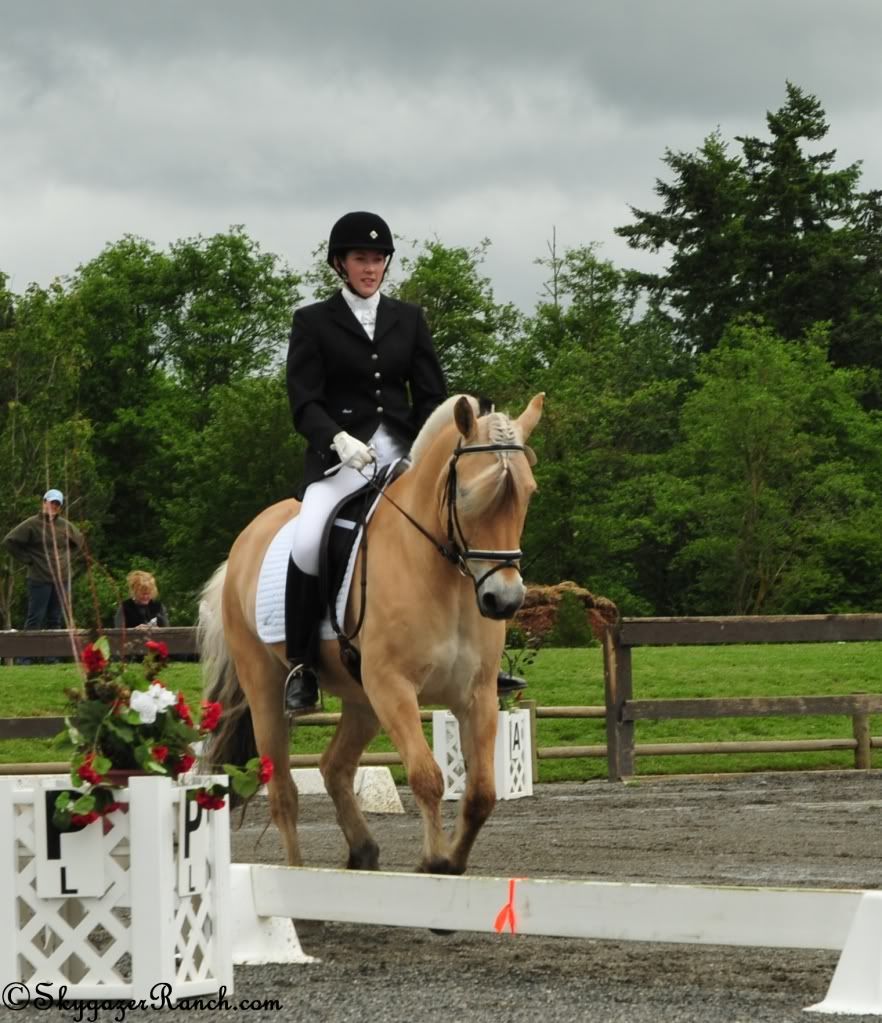 Boe's Valde, a Norwegian Fjord gelding, competing 