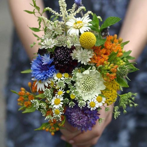 Wildflower Bouquet for bridesmaid

Catskills, NY