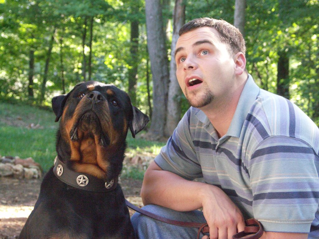 Be Curious with your Dog...