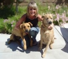 Sandy Colosi, Owner 
My Pet Nannie with her two re