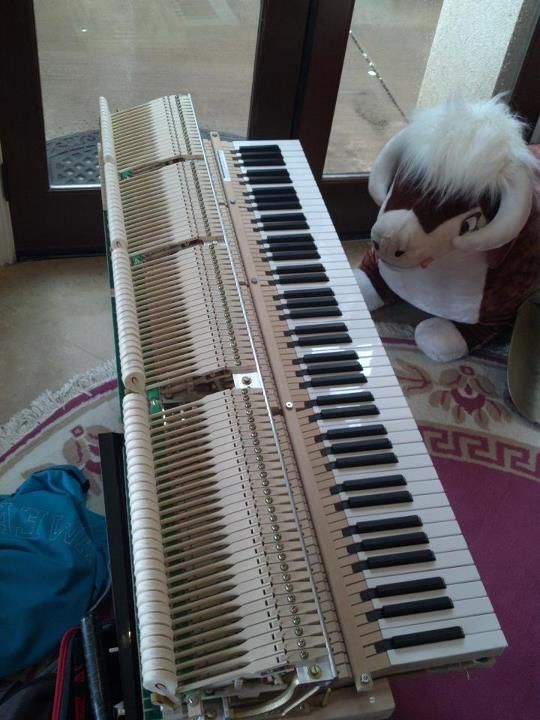 Grand Piano Action. Pearl River