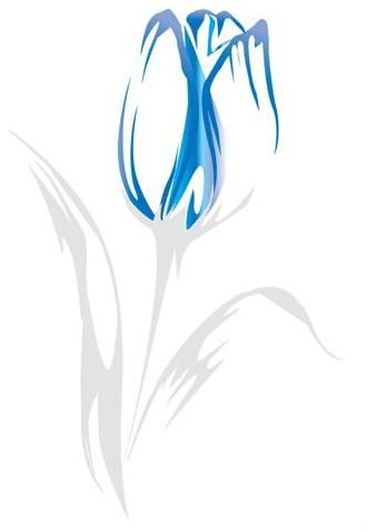 Tulip Blue