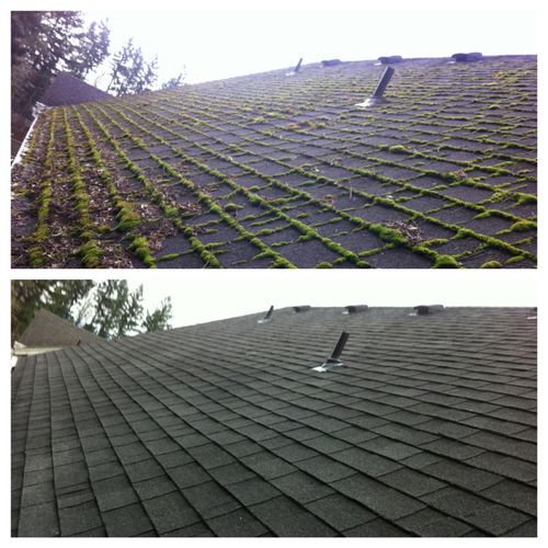 roof cleaners in portland