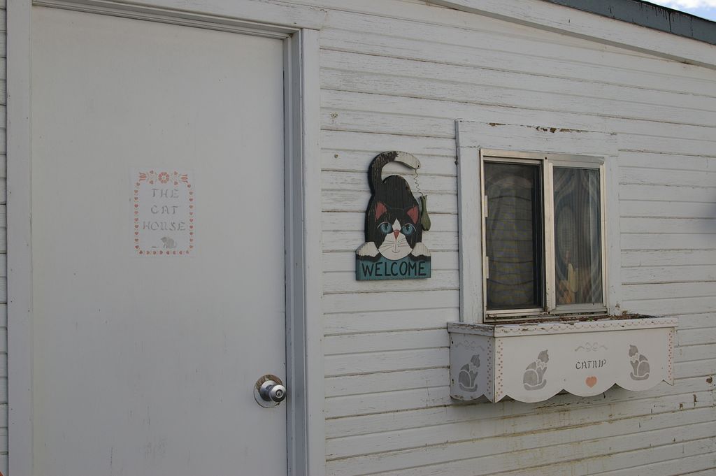 The Cat House
