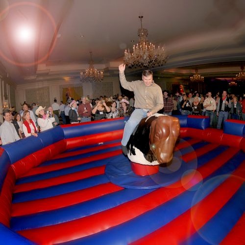 Mechanical Bulls are always fun-- great for childr
