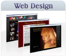 Website Design (Custom Sites, Blogs, Facebook/Twit