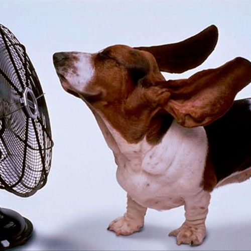 BE COOL: Schedule Your A/C Service Today. We also 